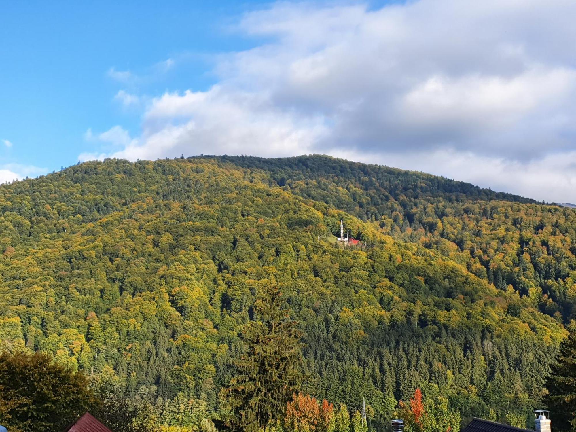 Pensiunea Tv Condor Sinaia Chambre photo